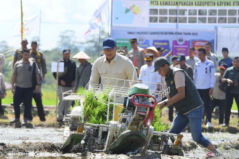 kementan-optimalkan-lahan-pertanian-di-kayong-utara