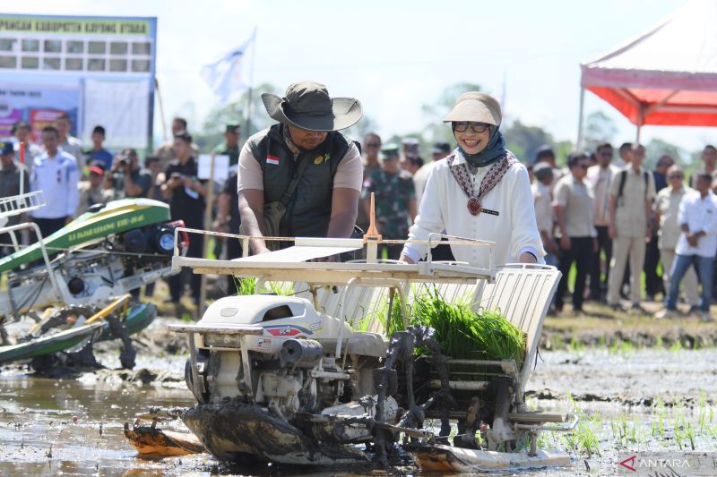 kementan-lakukan-transformasi-pertanian-ketapang-lewat-brigade-pangan