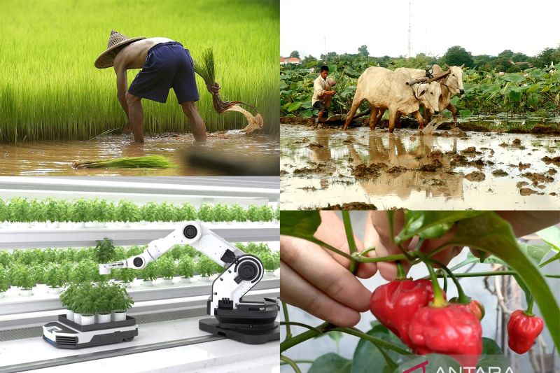 Bertani dalam berbagai versi dan inovasi