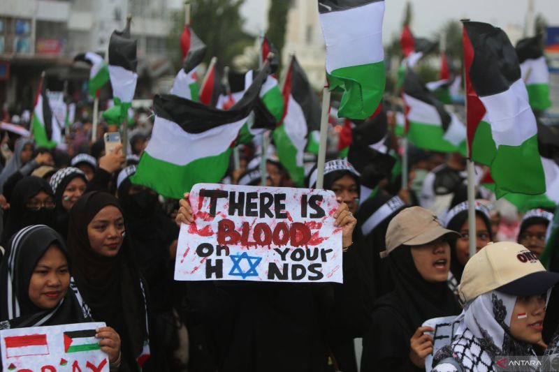 Presiden Finlandia isyaratkan kesiapan untuk mengakui negara Palestina