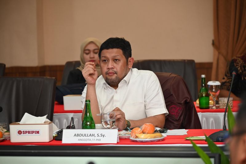 Anggota DPR minta polisi sigap cegah KDRT usai viral anak aniaya ibu