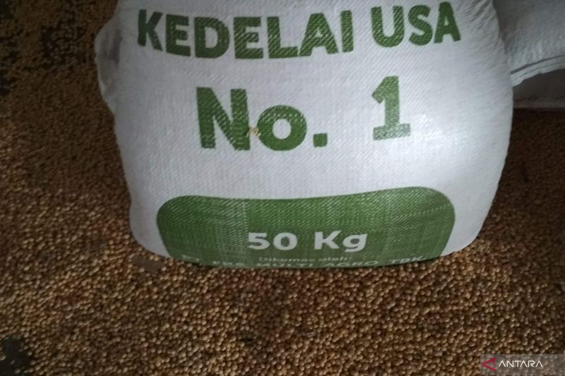 perlu-upaya-serius-kurangi-ketergantungan-impor-pertanian