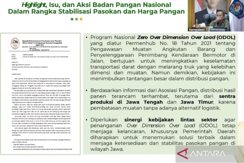 Bapanas: Demo ODOL berpotensi sebabkan keterlambatan pasokan pangan