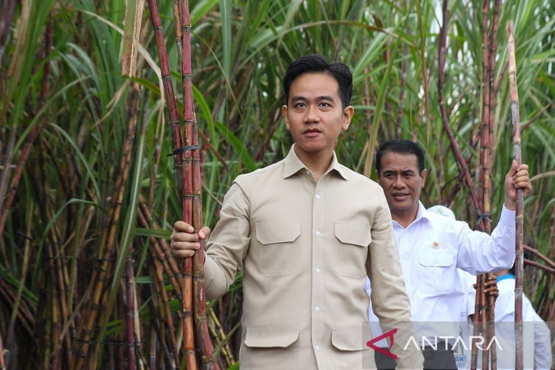 Wapres tindak lanjuti aspirasi keberlanjutan JLS Banyuwangi-Jember