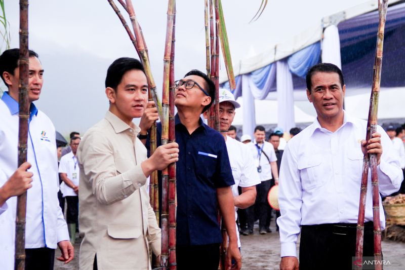 wapres-tindak-lanjuti-aspirasi-keberlanjutan-jls-banyuwangi-jember