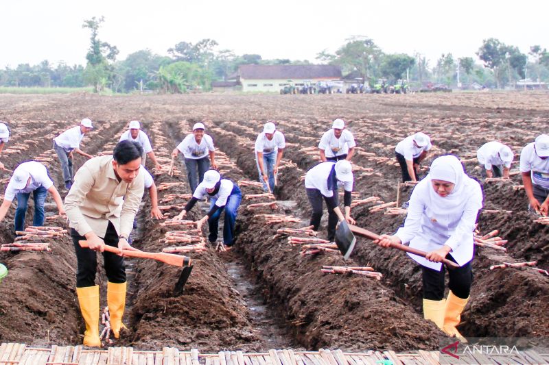 khofifah-siap-wujudkan-swasembada-gula-nasional-dari-jawa-timur