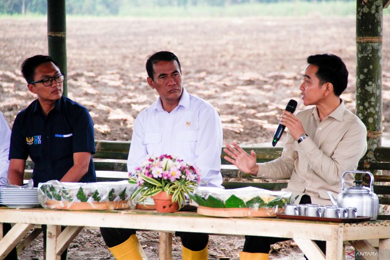 wapres-minta-kementan-selesaikan-pr-untuk-swasembada-gula-2027
