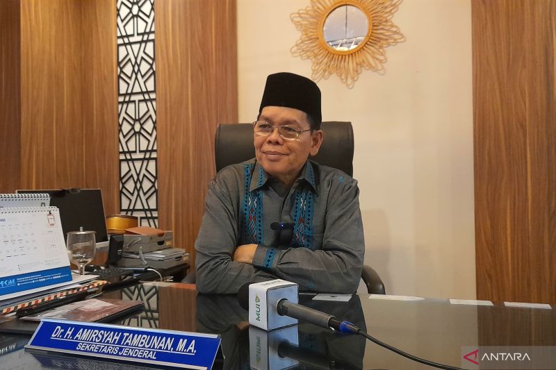 MUI serukan hukum berat Israel atas kejahatan genosida di Palestina