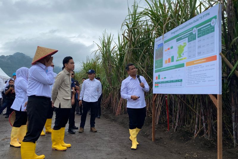 wapres-pastikan-pemerintah-dukung-petani-capai-swasembada-gula