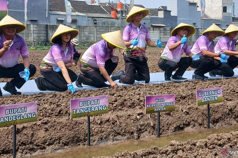 kejagung-kemendes-bersinergi-perkuat-ketahanan-pangan-di-desa