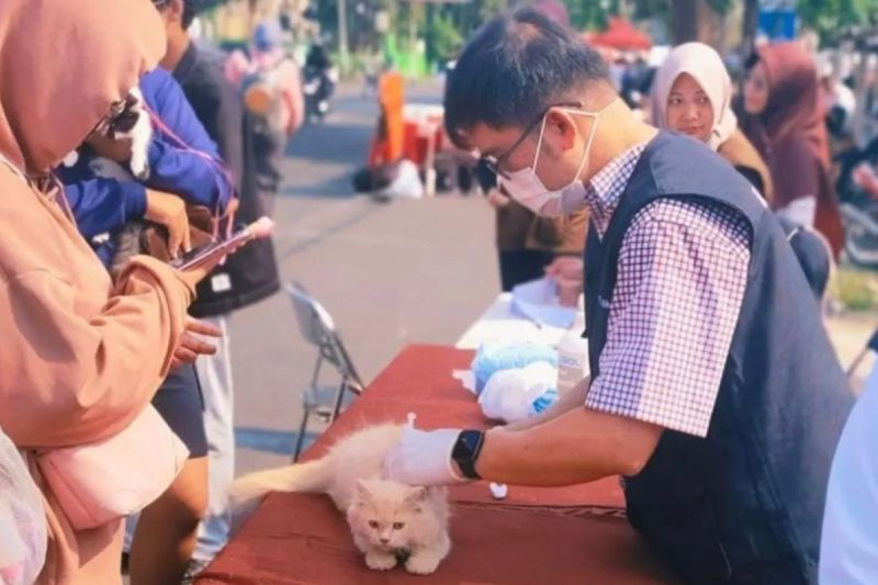 Pemkot Bandarlampung tetapkan enam puskesmas sebagai Rabies Center
