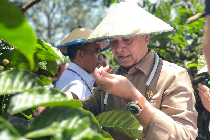 kementrans-bangun-konektivitas-tiga-area-transmigrasi-prioritas-di-sulteng