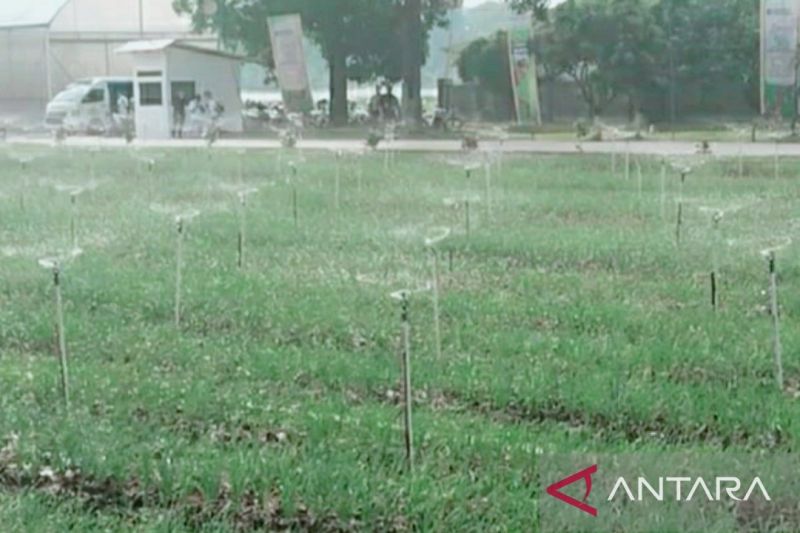 pupuk-kujang-jadikan-lahan-9-hektare-sebagai-kebun-riset-pertanian