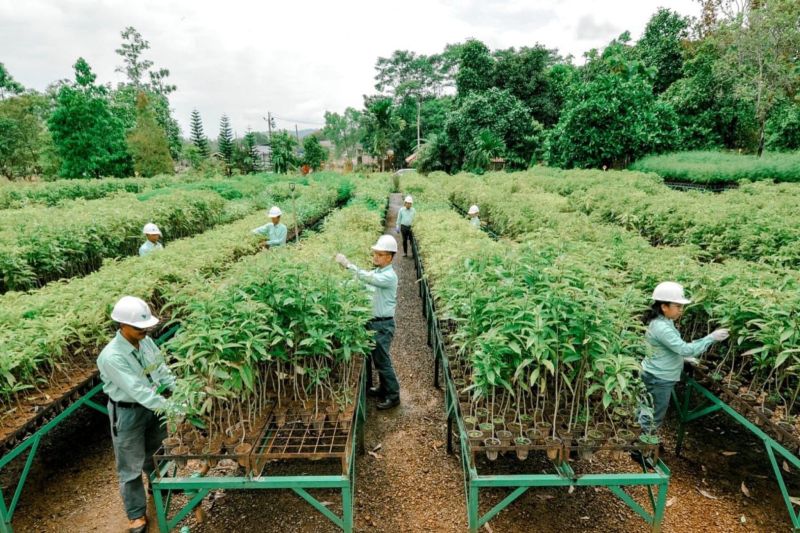 mind-id-targetkan-penurunan-emisi-214-persen-pada-2030
