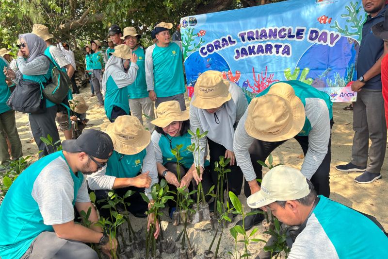 Pelajar Jakarta diajak peduli keberlangsungan ekosistem pesisir