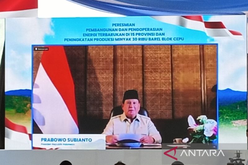 Prabowo nilai energi surya bisa wujudkan swasembada energi di desa