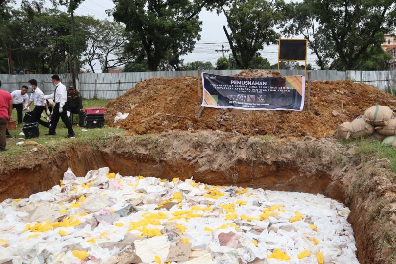 Balai Karantina Sumut musnahkan 14,6 ton mangga ilegal asal Thailand
