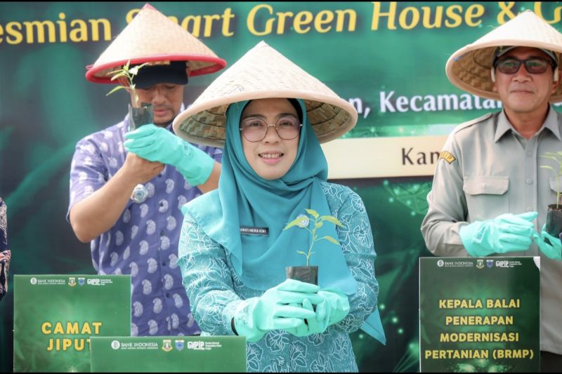 TP PKK Banten dorong pemanfaatan pekarangan rumah untuk tanam cabai