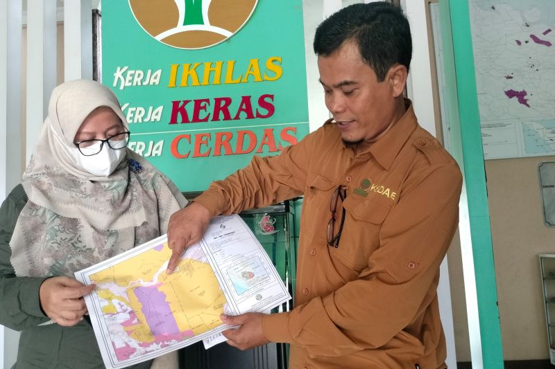 BBKSDA Riau telusuri harimau sumatera terkam pekerja di Pelalawan