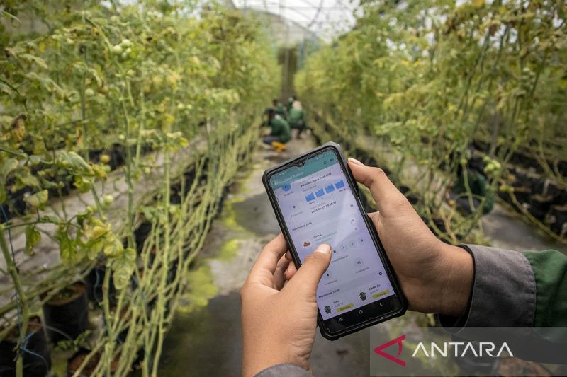ketika-ai-masuk-lahan-petani-kecil