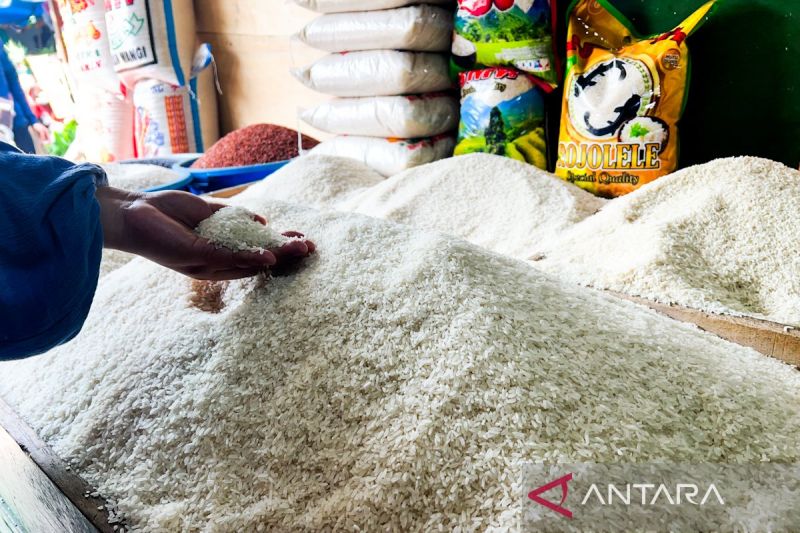 anggota-dpr-tekankan-percepatan-stabilisasi-harga-beras-di-pasaran