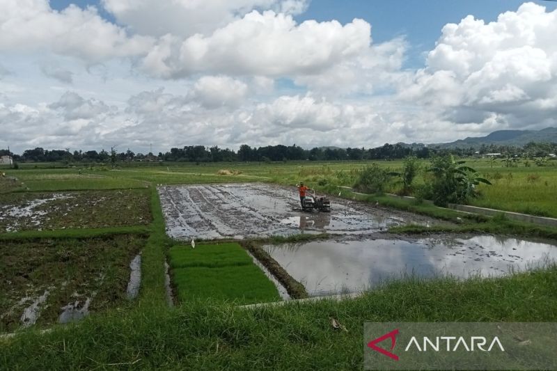pemkab-bantul-petakan-ulang-lahan-pertanian-berkelanjutan