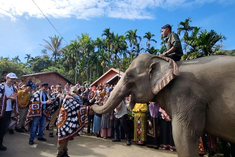 Menhut tinjau pembangunan konservasi gajah PECI di Aceh hibah Presiden
