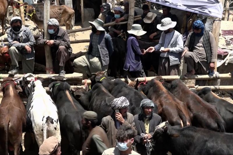 Warga Afghanistan berjuang rayakan Idul Adha di tengah sanksi AS