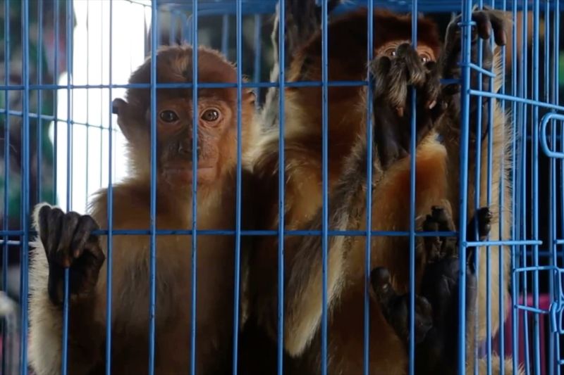 Warga Kalbar diimbau perketat jaga kekayaan alam dari perbuatan ilegal