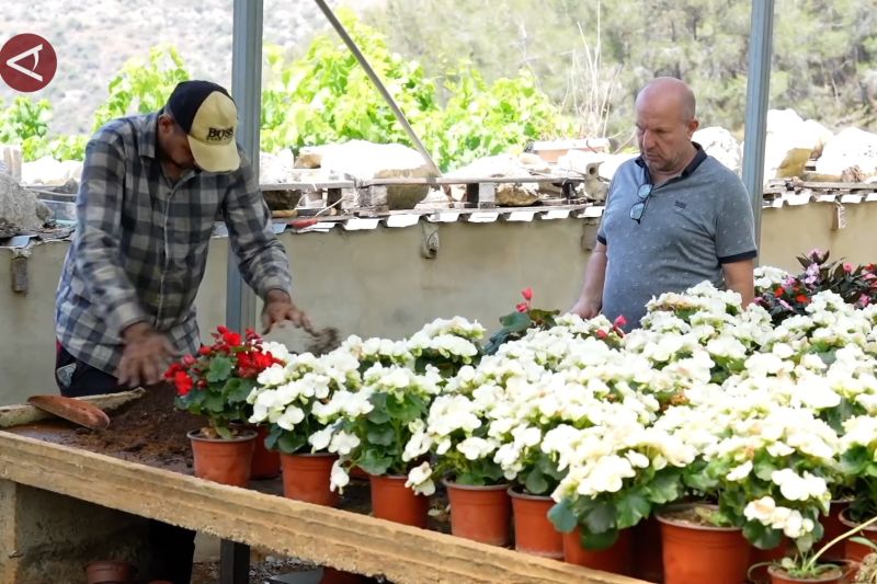 Kekeringan ancam industri pertanian Lebanon