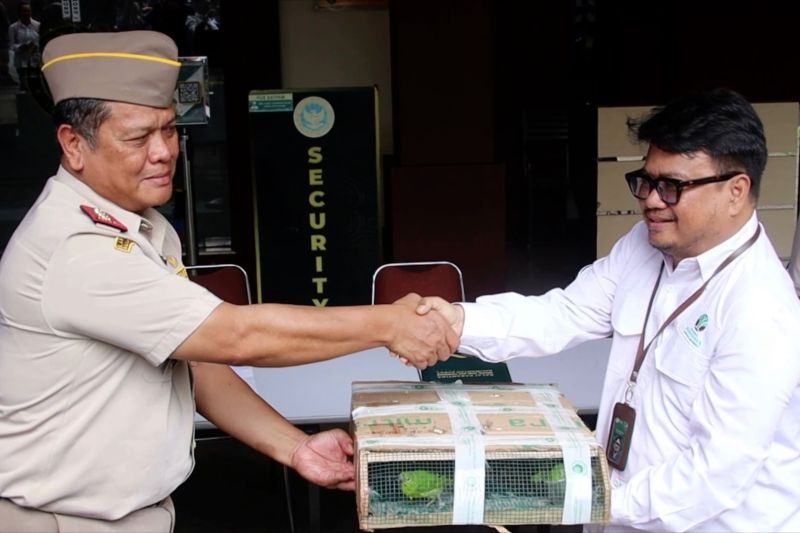BKHIT Kalbar gagalkan penyelundupan ratusan burung dilindungi