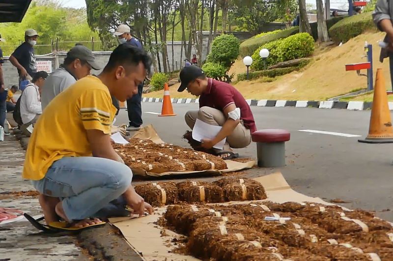 Bupati minta petani jaga kualitas tembakau untuk dongkrak harga