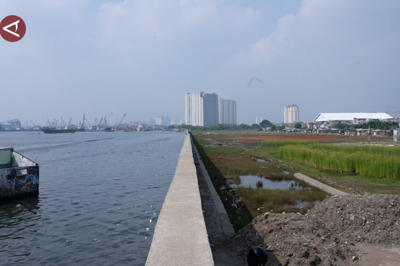 Dana Rp5 triliun per tahun disiapkan untuk Giant Sea Wall Jakarta