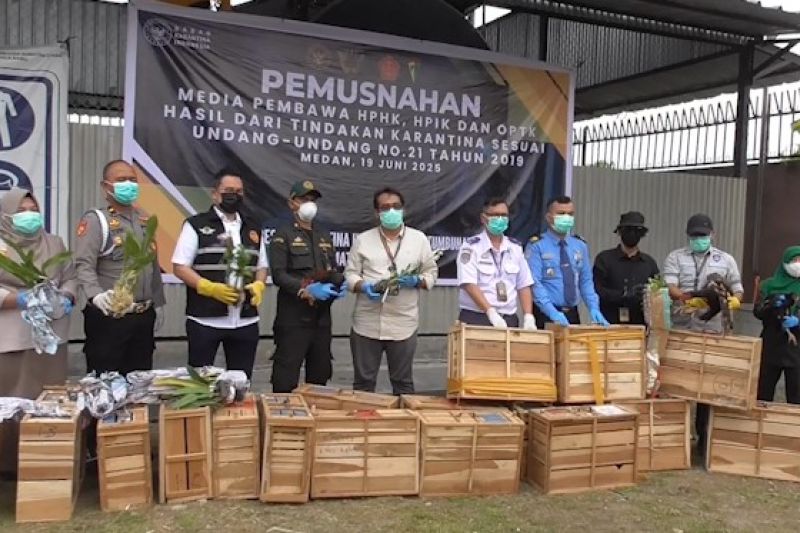 balai-karantina-sumut-musnahkan-komoditas-ilegal-asal-thailand