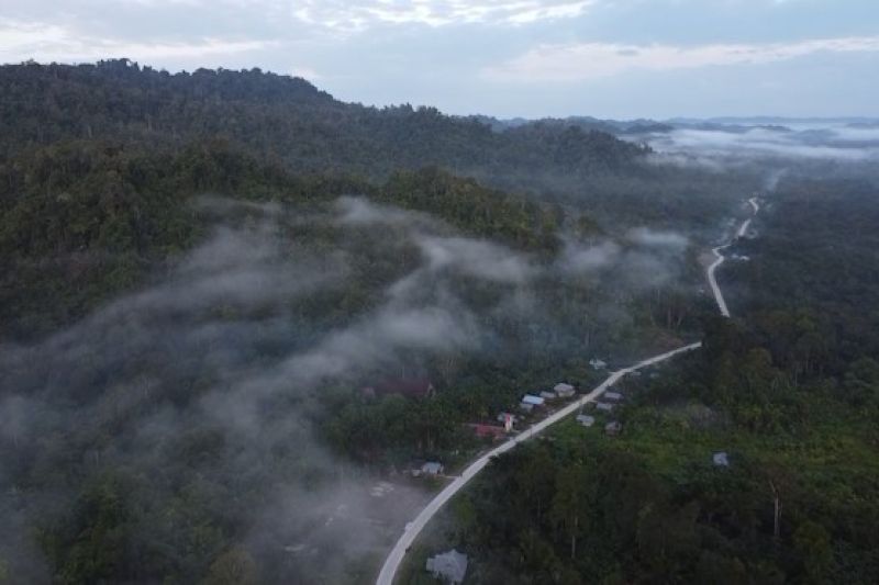 komisi-iv-minta-pemerintah-tinjau-ulang-izin-pbph-di-mentawai