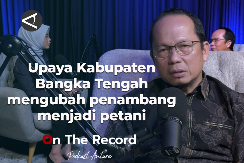 upaya-kabupaten-bangka-tengah-mengubah-penambang-menjadi-petani