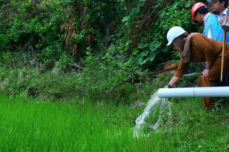 petani-di-barru-hemat-operasional-55-persen-berkat-layanan-pln