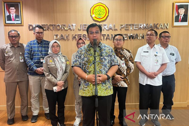 ombudsman-nilai-kementan-di-jalur-tepat-stabilkan-harga-ayam-hidup