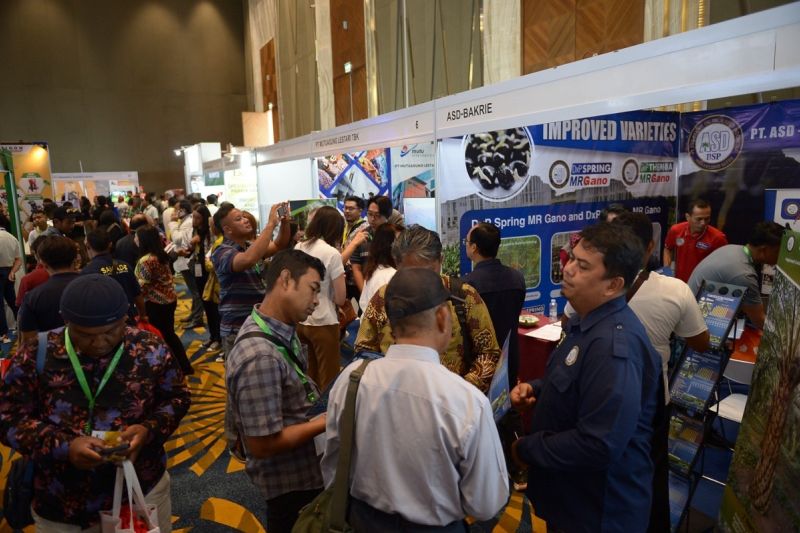 siexpo-2025-siap-tampilkan-500-teknologi-produk-industri-sawit