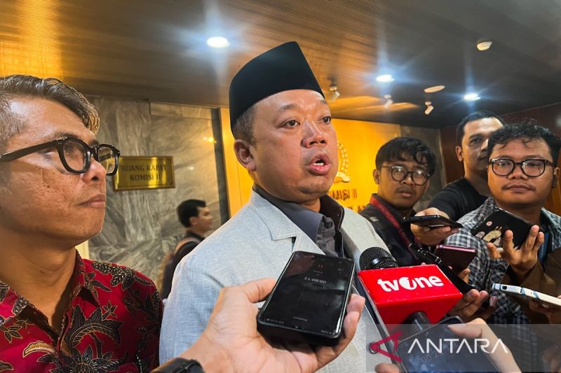 menteri-nusron-cabut-sertifikat-perkebunan-sawit-di-tn-tesso-nilo
