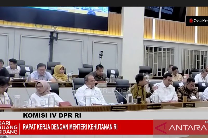 kementerian-kehutanan-minta-tambahan-anggaran-rp40817-miliar