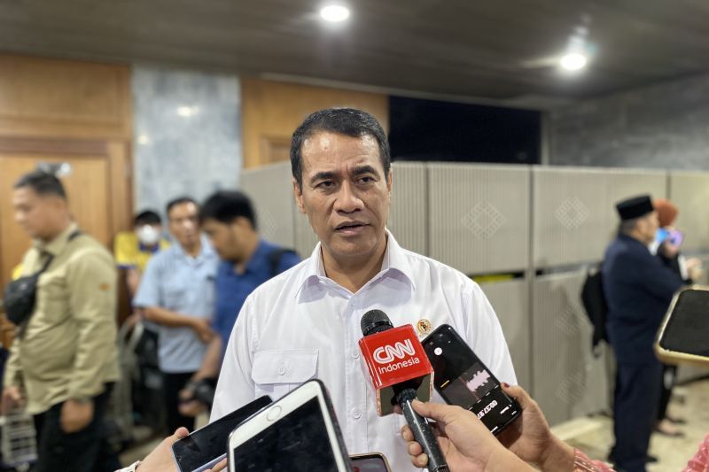 mentan-amran-ungkap-beras-oplosan-beredar-di-minimarket