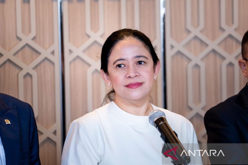 DPR minta pemerintah usut tuntas kasus dugaan beras oplosan