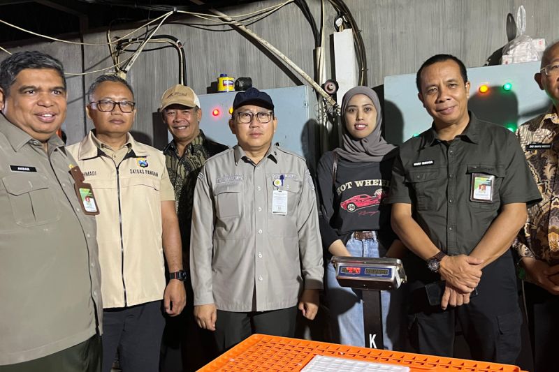 kementan-tindak-perusahaan-jual-ayam-hidup-di-bawah-rp18000kg