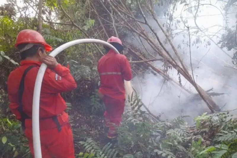  Alarm Kebakaran Hutan Sumsel Berbunyi Kencang: 169 Titik Api Terdeteksi!