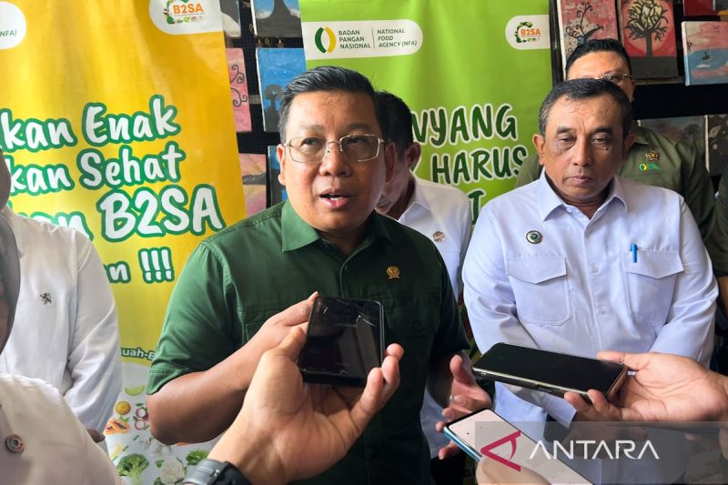 kepala-bapanas-minta-pelaku-usaha-beras-berbenah-ikuti-regulasi