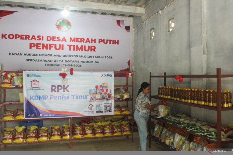 ekonom-ingatkan-pentingnya-mitigasi-risiko-dalam-pendanaan-kopdes