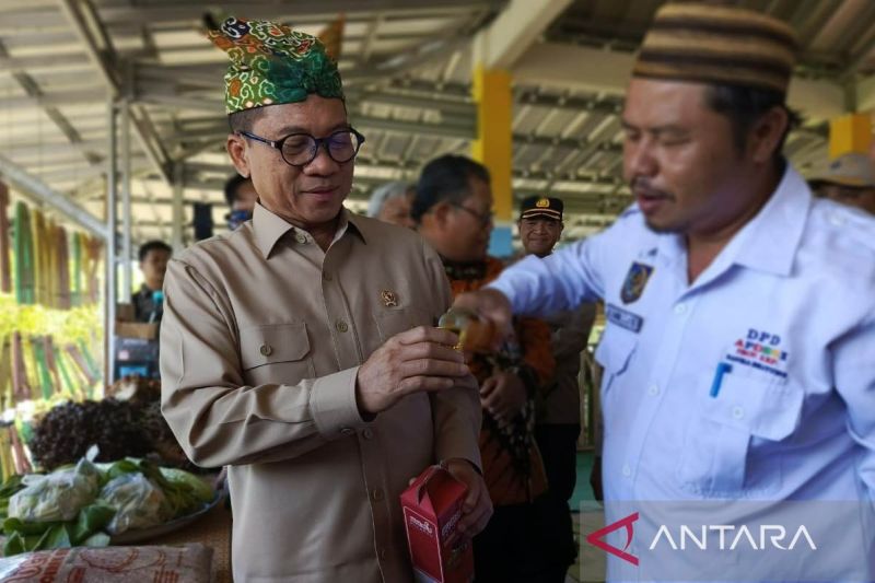 mendes-pemerintah-kucurkan-dana-desa-rp610-triliun
