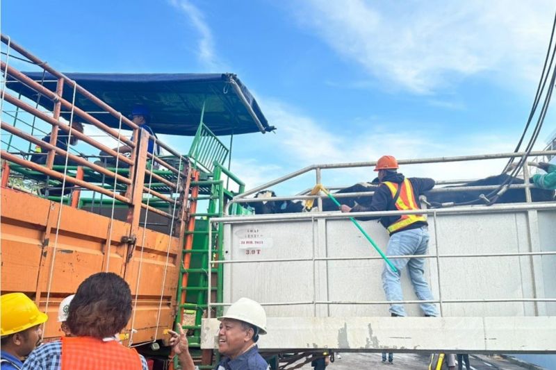 pelindo-kementan-ri-bangun-instalasi-karantina-hewan-di-cilacap