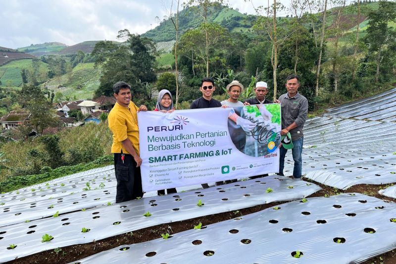 peruri-terapkan-smart-farming-iot-tingkatkan-hasil-tani-di-garut